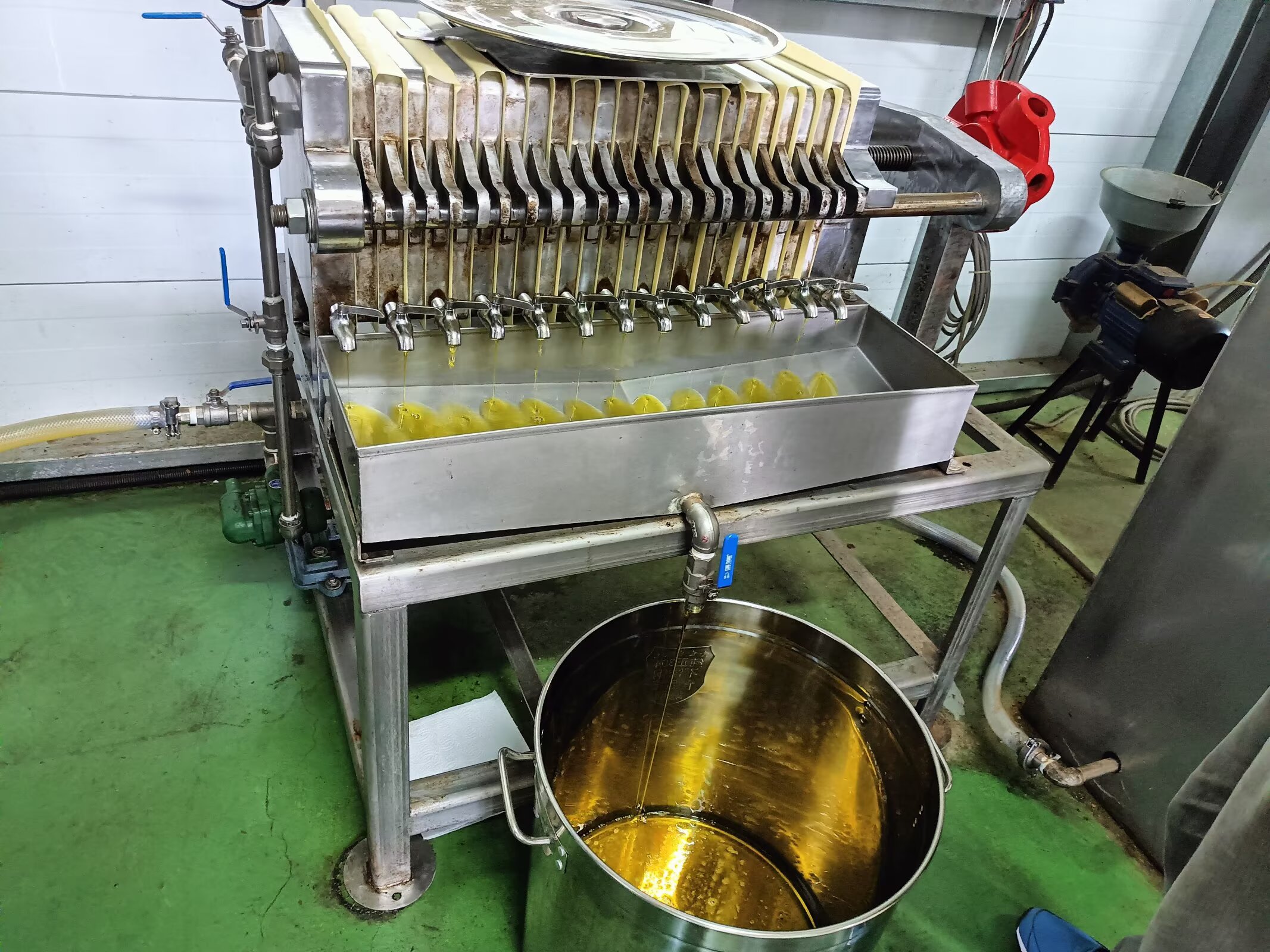 苦茶油低溫冷榨設備